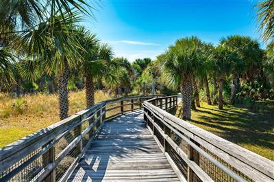 Holzsteg im Caladesi Island State Park